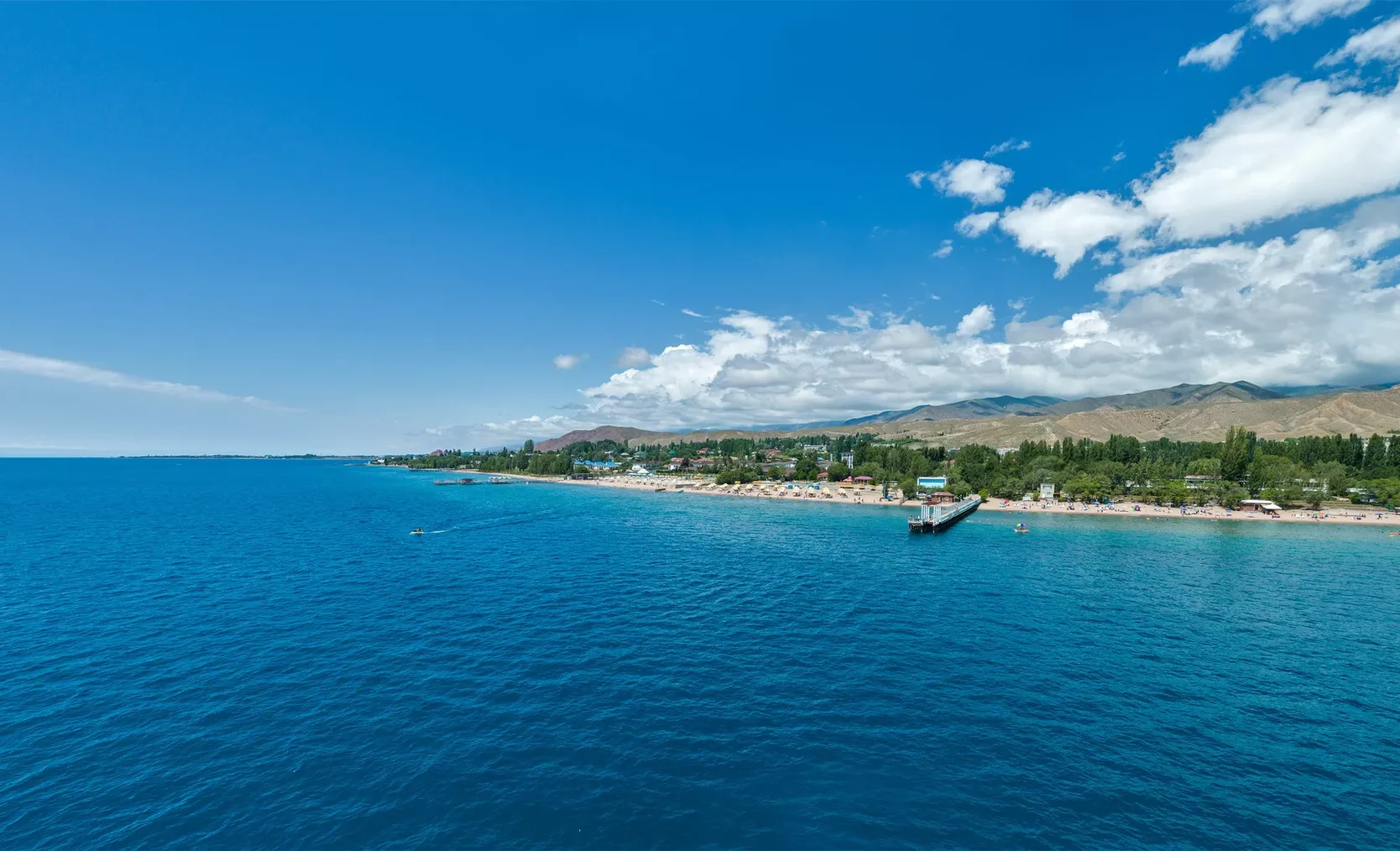 1040243494_0_0_2501_1406_1920x0_80_0_0_6d3ba3e9850f7c2ba2803f136bdeed5a.jpg.webp