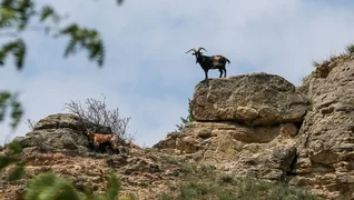 1046503826_0_180_3167_1971_600x0_80_0_0_bed99f2209607c1a707a95c5c4e55ada.jpg