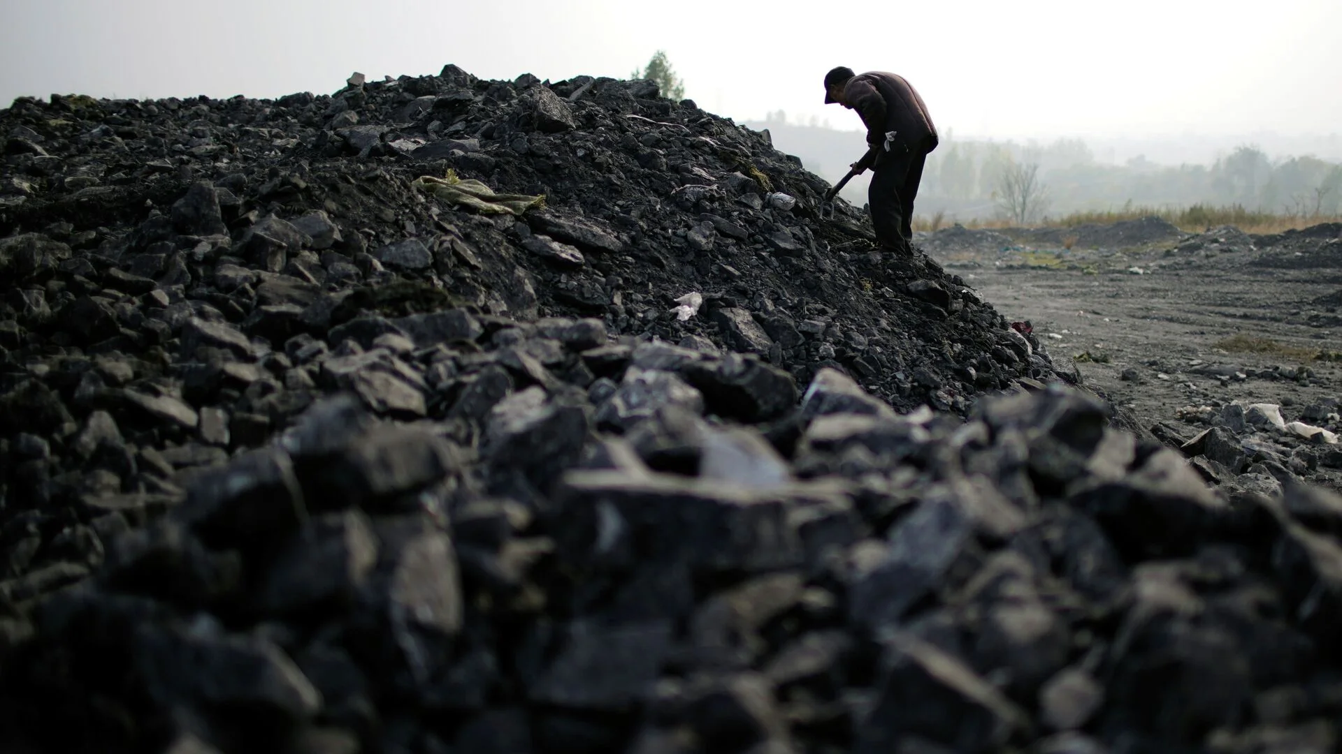 {{ item.title }}
