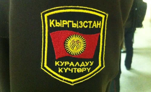 12_iyl_0001_3.jpg