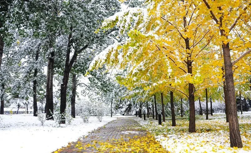 134330_or.2e16d0ba.format-webp.fill-1668x1014.webp