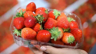 1571421908_0_0_2968_1670_1920x0_80_0_0_42fbfd40.original.jpg
