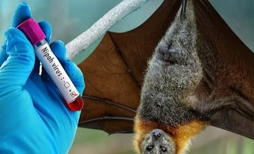 1769488059191_virus-nipah-bung-phat-tai-an-do-loat-san-bay-chau-a-siet-kiem-soat-y-te-cropped-1769485825726.webp