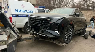 1771942409_large (1).jpeg