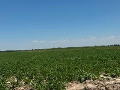256030e5-913c-4161-896c-76d89543a1f4.jpg