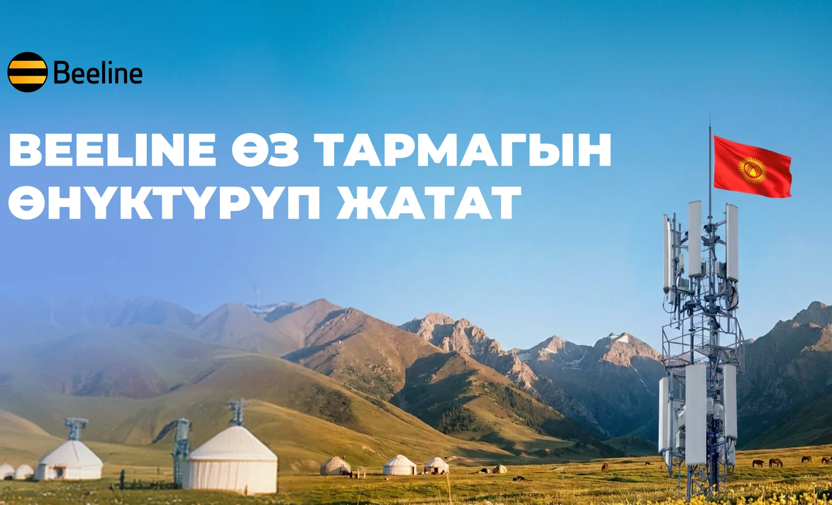 2560_1440_развитие сети_kg_1.png