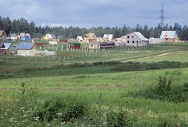 308411763.jpg