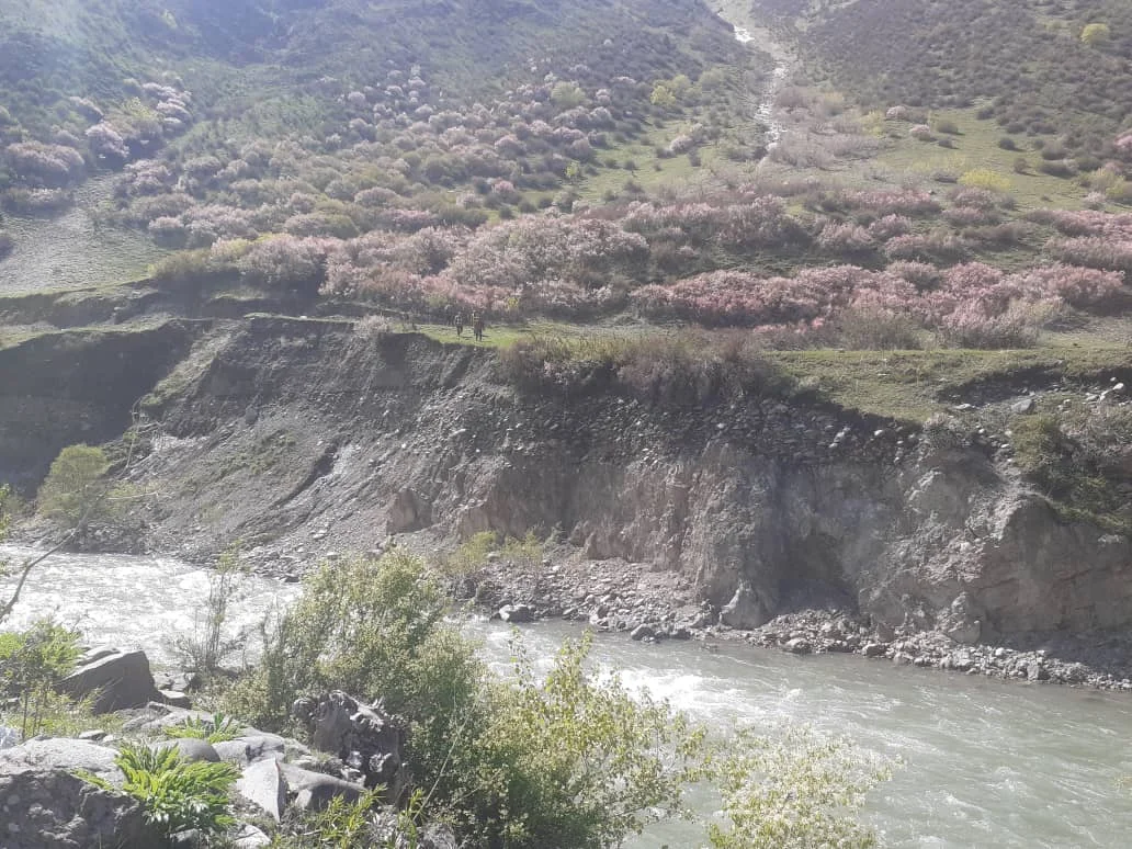{{ item.title }}