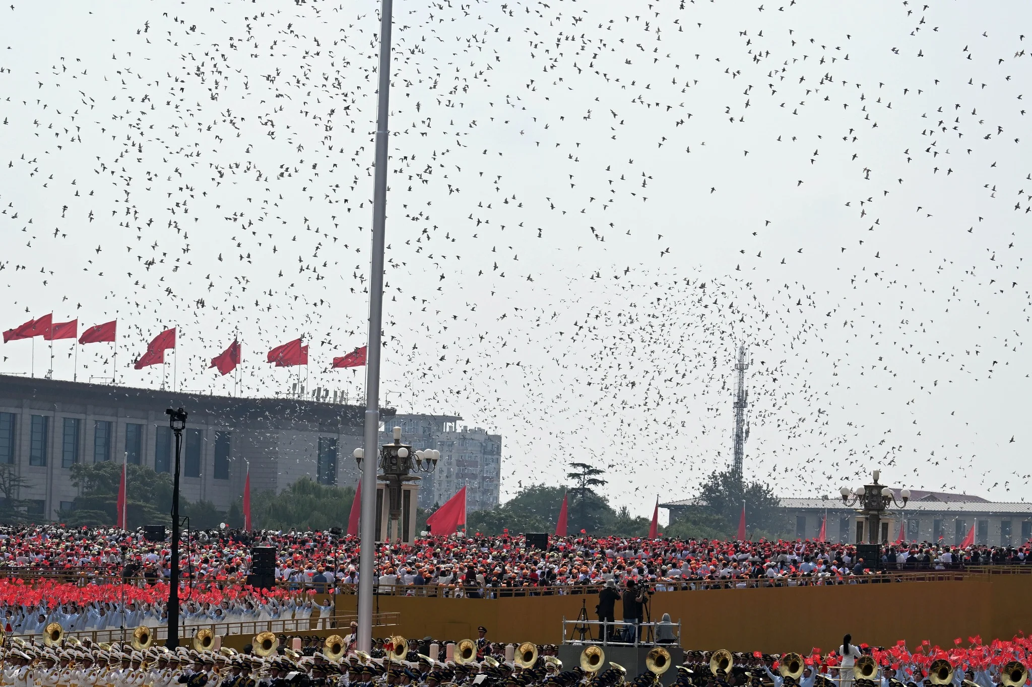 {{ item.title }}