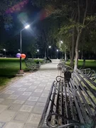 557772297_2806683896188106_8593858402743080090_n.jpg