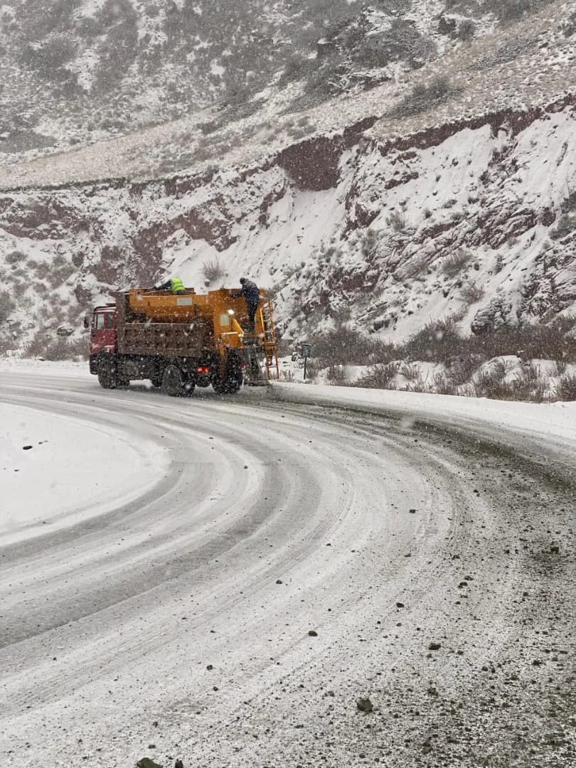 {{ item.title }}