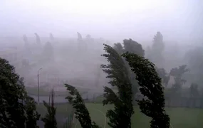 5958dedb67d41-1625334_1200.730x0.jpg