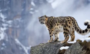 5_50J7on4.2e16d0ba.format-webp.fill-1668x1014.webp