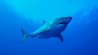 60139550-d9be-43a4-bc12-9d75b9195d3c.jpeg