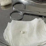 631940454_18051211658705147_3403909141309066261_n (1).jpg