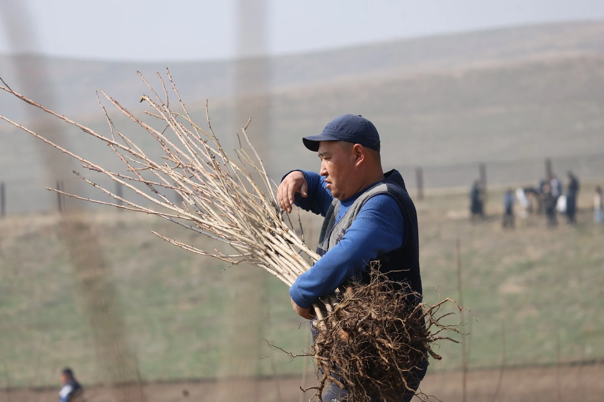 {{ item.title }}