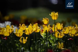 676786259_3804554213021083_2708899525202853438_n.jpg