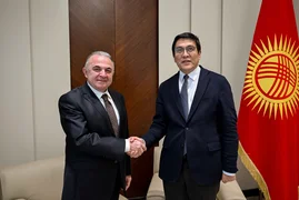 69a81b6087ade (1).jpg