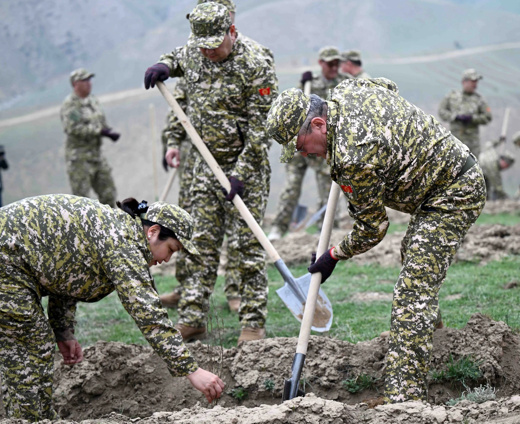 {{ item.title }}