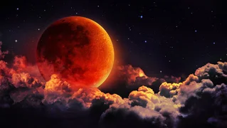 72f33977-d07c-48fb-b53a-f9e04f8d6f6f.jpeg