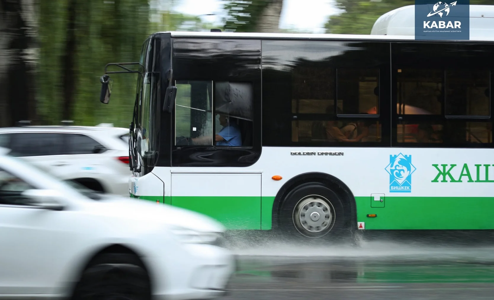 737249585_3896344430508727_6375391031919760075_n (1).jpg