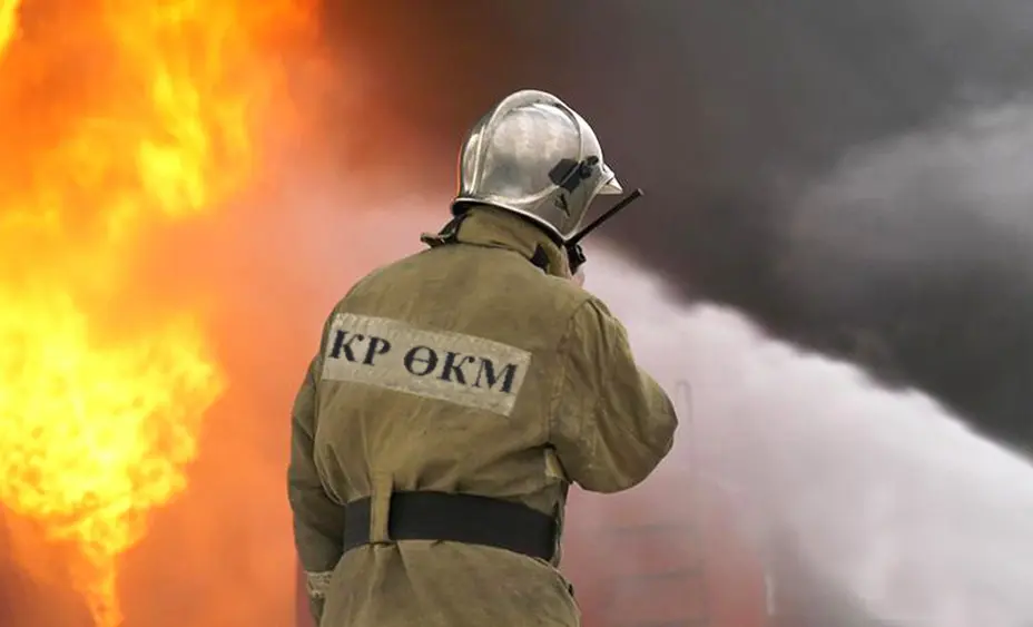 950590.c57a27e4066132779f875431314fc7a0 (1).jpg