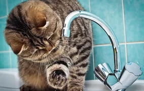 96789_large.max-1920x1080.for.max-1920x1080.format-webp.webp