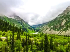 Без названия.webp