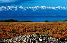 Bez_nazvaniya_gmLP2Am.max-1920x1080.format-webp.webp
