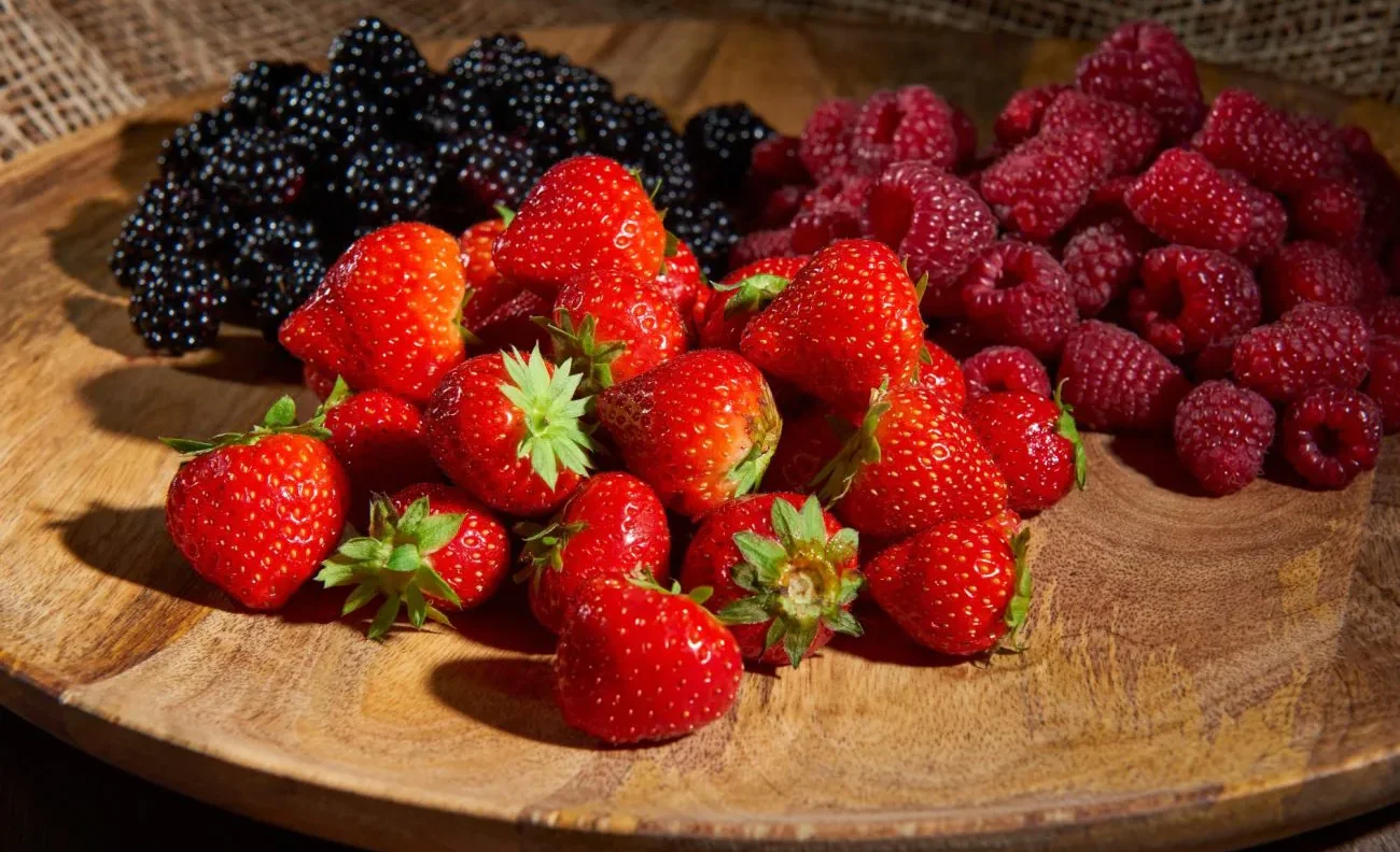 DSC2220-1300x918.webp