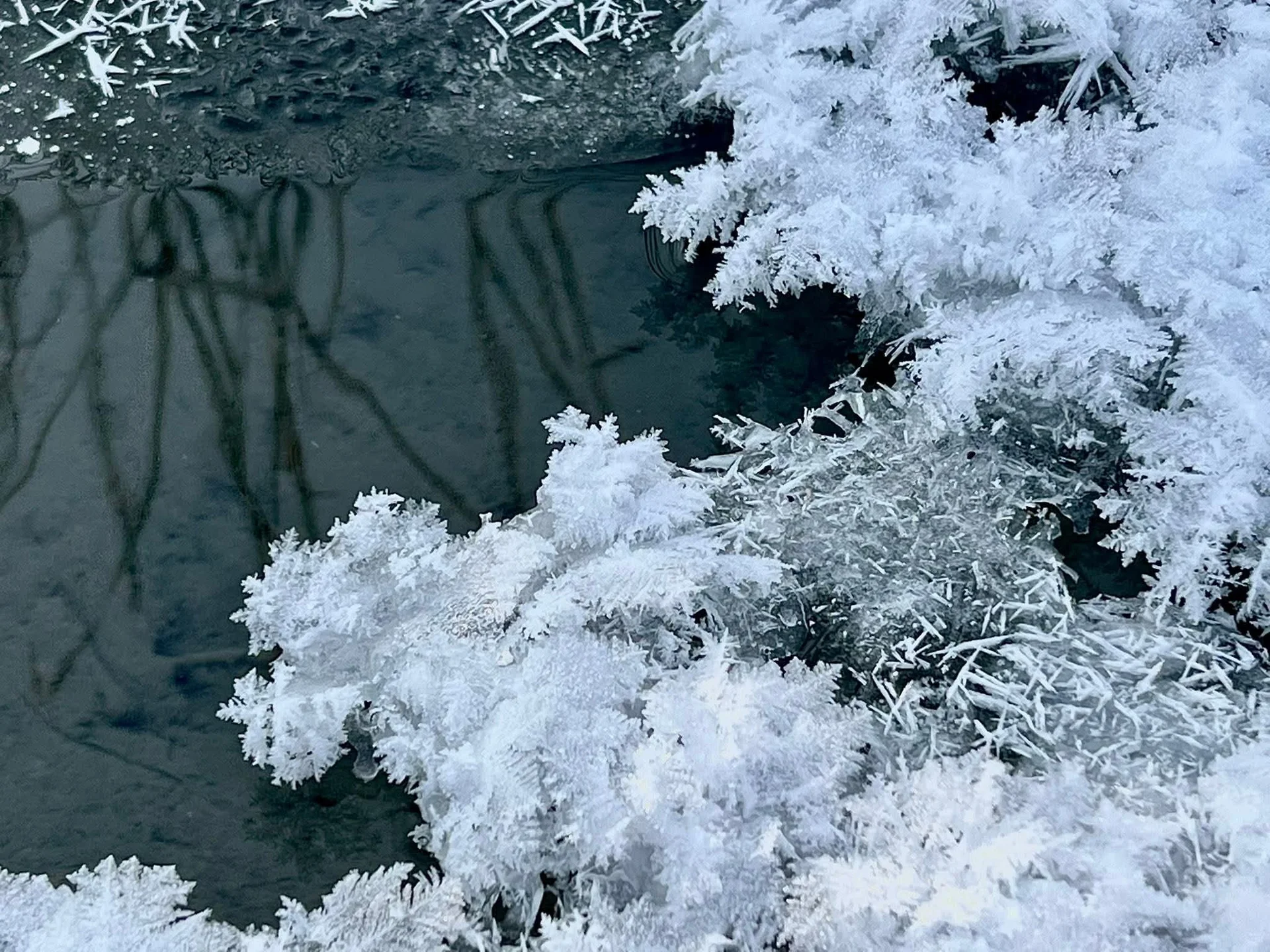 {{ item.title }}