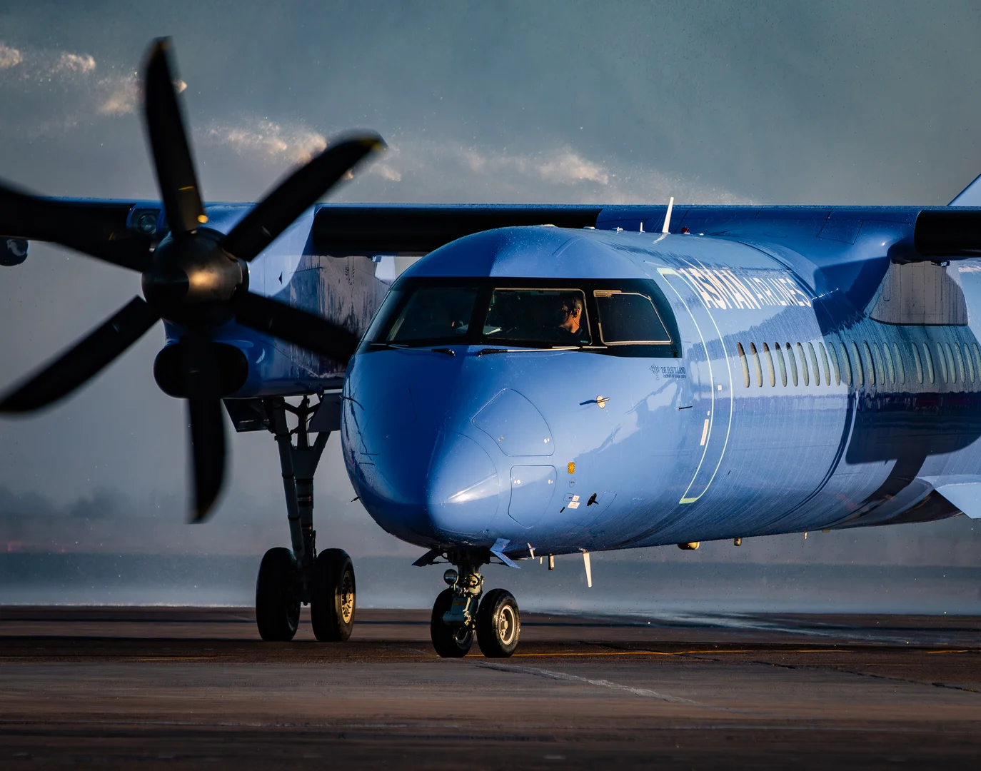 IMG_0146.jpg (1).jpeg