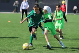 IMG_0759.max-1920x1080.format-webp.webp