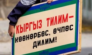 News_268407169718228709378460000111104534724.jpg