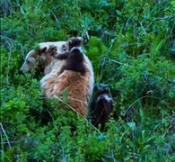 Снимок экрана 2025-05-20 102311.png