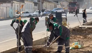 Снимок экрана 2025-11-12 152222.png