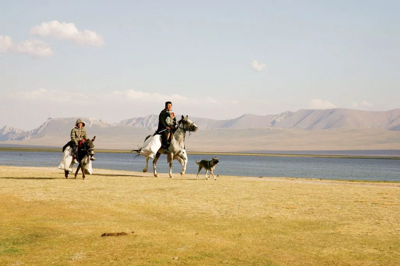 Song11.max-2560x1440.format-webp.jpegquality-90.webp
