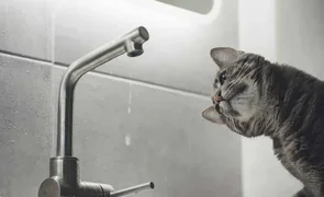 UIhxUYOCjTg.2e16d0ba.format-webp.fill-1668x1014.webp