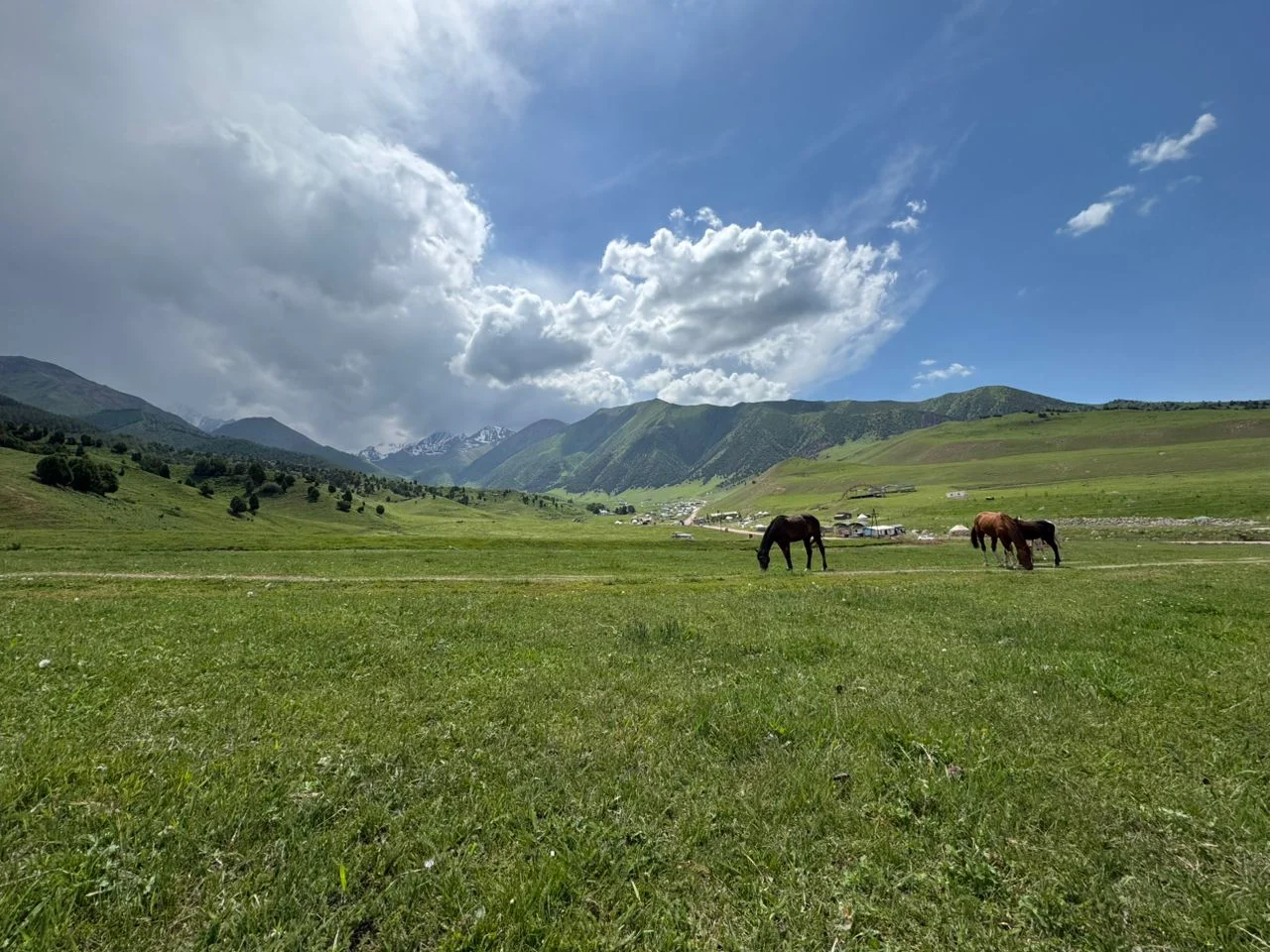 {{item.title }}