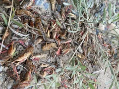 WhatsApp Image 2025-07-18 at 22.16.32 (1).jpeg