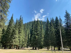 WhatsApp Image 2025-08-11 at 07.07.03.jpeg