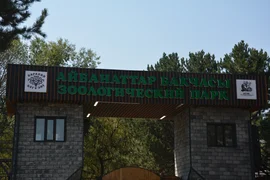 WhatsApp Image 2025-08-11 at 09.03.51 (1).jpeg