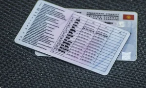 WhatsApp Image 2025-08-13 at 12.18.24.jpeg