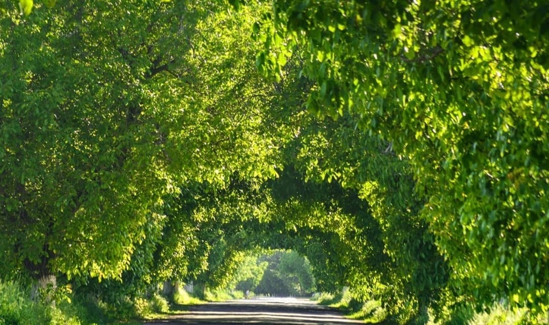 WhatsApp Image 2025-08-18 at 19.29.30 (1).jpeg