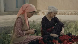 WhatsApp Image 2025-08-20 at 15.29.53.jpeg