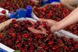 WhatsApp Image 2025-08-21 at 08.50.00.jpeg