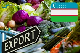 WhatsApp Image 2025-08-25 at 09.55.01.jpeg