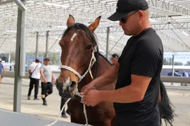 WhatsApp Image 2025-09-02 at 16.44.21 (1).jpeg