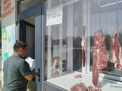 WhatsApp Image 2025-09-03 at 12.42.43.jpeg