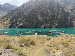 WhatsApp Image 2025-09-04 at 09.10.28.jpeg